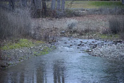 DSC_0976 (Large).JPG